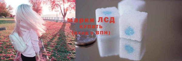 трава Осинники