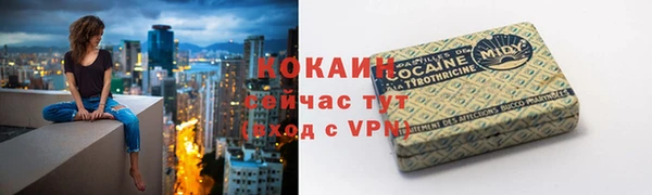 соль ск Всеволожск