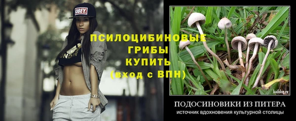 трава Осинники