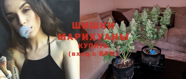 крисы Вуктыл