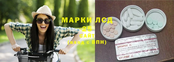 трава Осинники