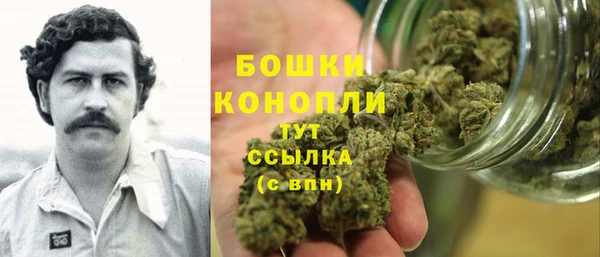 ГАЛЛЮЦИНОГЕННЫЕ ГРИБЫ Осташков