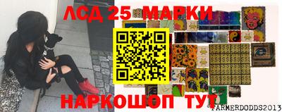 прущие крисы Абакан