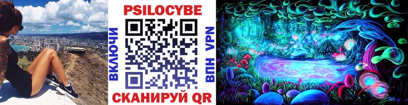 Псилоцибиновые грибы прущие грибы  Асино 