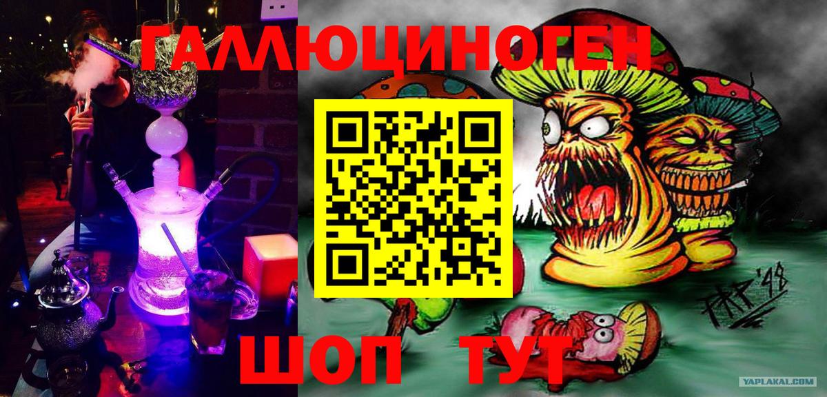 Псилоцибиновые грибы Cubensis  купить   Асино 