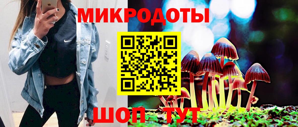 Псилоцибиновые грибы Cubensis Асино