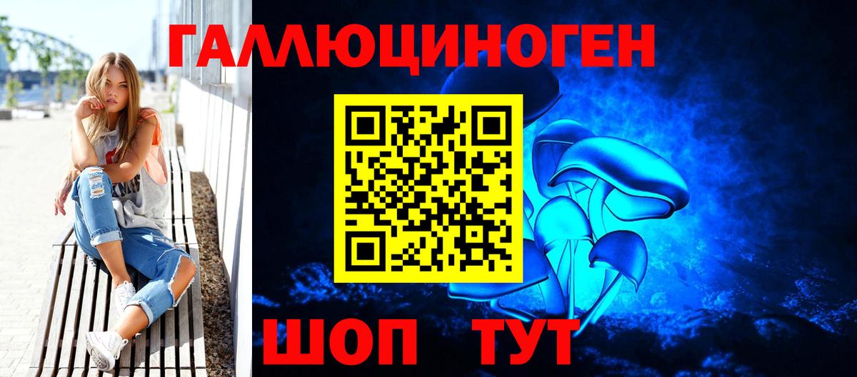 Галлюциногенные грибы Cubensis Асино