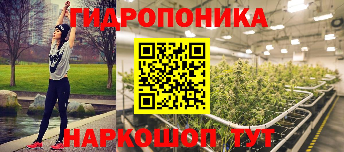 Бошки Шишки SATIVA & INDICA  Вход с VPN  Шишки марихуана семена  Асино 